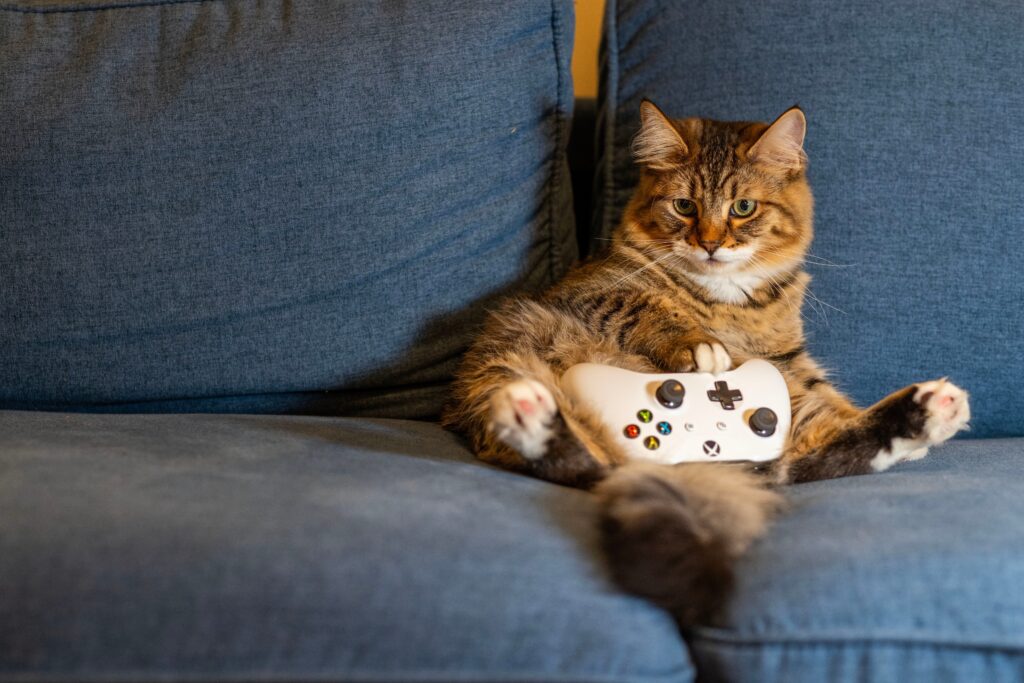 online gaming
